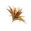 Selyemvirág dracéna ág 35cm több szín