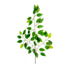 Selyemvirág fikusz levél 60cm zöld