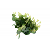 Selyemvirág fittonia 30cm s/20 több szín
