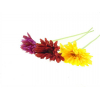 Selyemvirág gerbera 55cm több szín