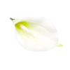 Selyemvirág kála fej 9cm fehér