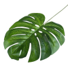 Selyemvirág levél Monstera 60-65cm zöld