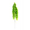 Selyemvirág levél pikk alocasia 34*12  H 47 cm s/10