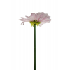 Selyemvirág margaréta szál 110cm v.rózsaszín