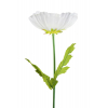 Selyemvirág Menyecskeszem szálas 105cm fehér