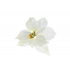 Selyemvirág mikulásvirág 27cm fehér