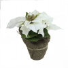 Selyemvirág mikulásvirág juta kaspóban 17cm 2fej fehér