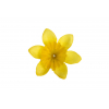 Selyemvirág nárciszfej 5cm s/120 sárga