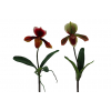Selyemvirág orchidea 40 cm koral