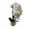 Selyemvirág orchidea kaspóban 45cm fehér/rózsaszín