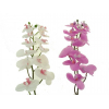 Selyemvirág phalaenopsis 58cm 12 fejes 2 szín