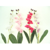 Selyemvirág phalaenopsis 60cm több szín Y
