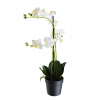 Selyemvirág Phalaenopsis 65cm 3ág cserepes fehér