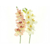 Selyemvirág phalaenopsis 78cm 1szálas több szín