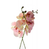Selyemvirág phalaenopsis 85-90cm több szín