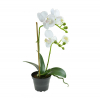 Selyemvirág Phalaenopsis cserépben 45cm fehér