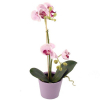 Selyemvirág Phalaenopsis cserépben 45cm pink/fehér