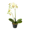 Selyemvirág Phalaenopsis cserépben 45cm tört fehér