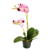 Selyemvirág Phalaenopsis cserépben 45cm v.lila