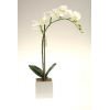 Selyemvirág phalaenopsis cserépben 7 fejes 47cm fehér