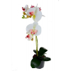 Selyemvirág Phalaenopsis gumi 45cm fehér