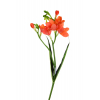 Selyemvirág szálas férézia 59CM piros