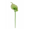 Selyemvirág szálas kála PU 33cm lime