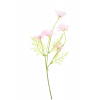 Selyemvirág százszorszép 50 cm, 5 virágfej pink