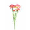 Selyemvirág szegfű pick 60cm pink/fehér