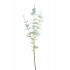 Selyemvirág szinesleveles ág 85cm v.zöld