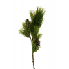 Selyemvirág tűlevelű tobozzal 52cm zöld