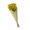Szárazvirág csokor Gypsophila 60cm sárga