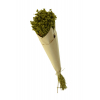 Szárazvirág csokor Gypsophila 60cm zöld