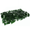 Selyemvirág szőnyeg fittónia 60*40cm zöld