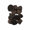 Termés Lotus Pod 6-8cm s/10 natúr