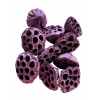 Termés Lotus Pod 6-8cm s/10 lila