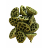 Termés Lotus Pod 6-8cm s/10 olivazöld