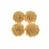 Termés Shola Flower 6cm s/4 barack