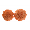 Termés Shola Flower 8cm s/2 barack