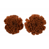 Termés Shola Flower 8cm s/2 barna