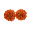 Termés Shola Flower 8cm s/2 narancs