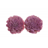 Termés Shola Flower 8cm s/2 rózsaszín