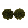 Termés Shola Flower 8cm s/2 zöld