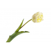 Selyemvirág gumi tulipán H44 fehér