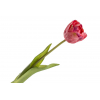 Selyemvirág gumi tulipán H44 pink