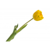 Selyemvirág gumi tulipán H44 sárga