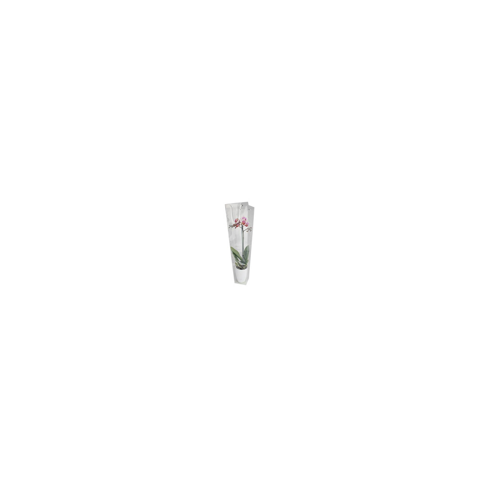 Ajándéktasak PP 14/8,5xH47cm átlátszó