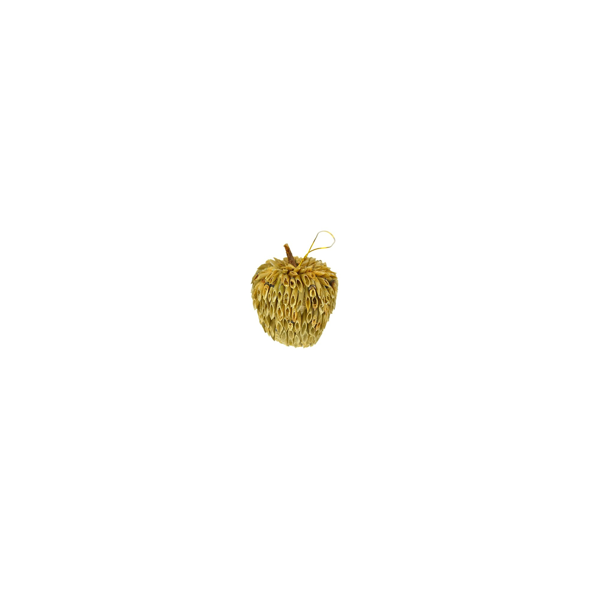 Alma fű D7-D12cm natúr Zmrst