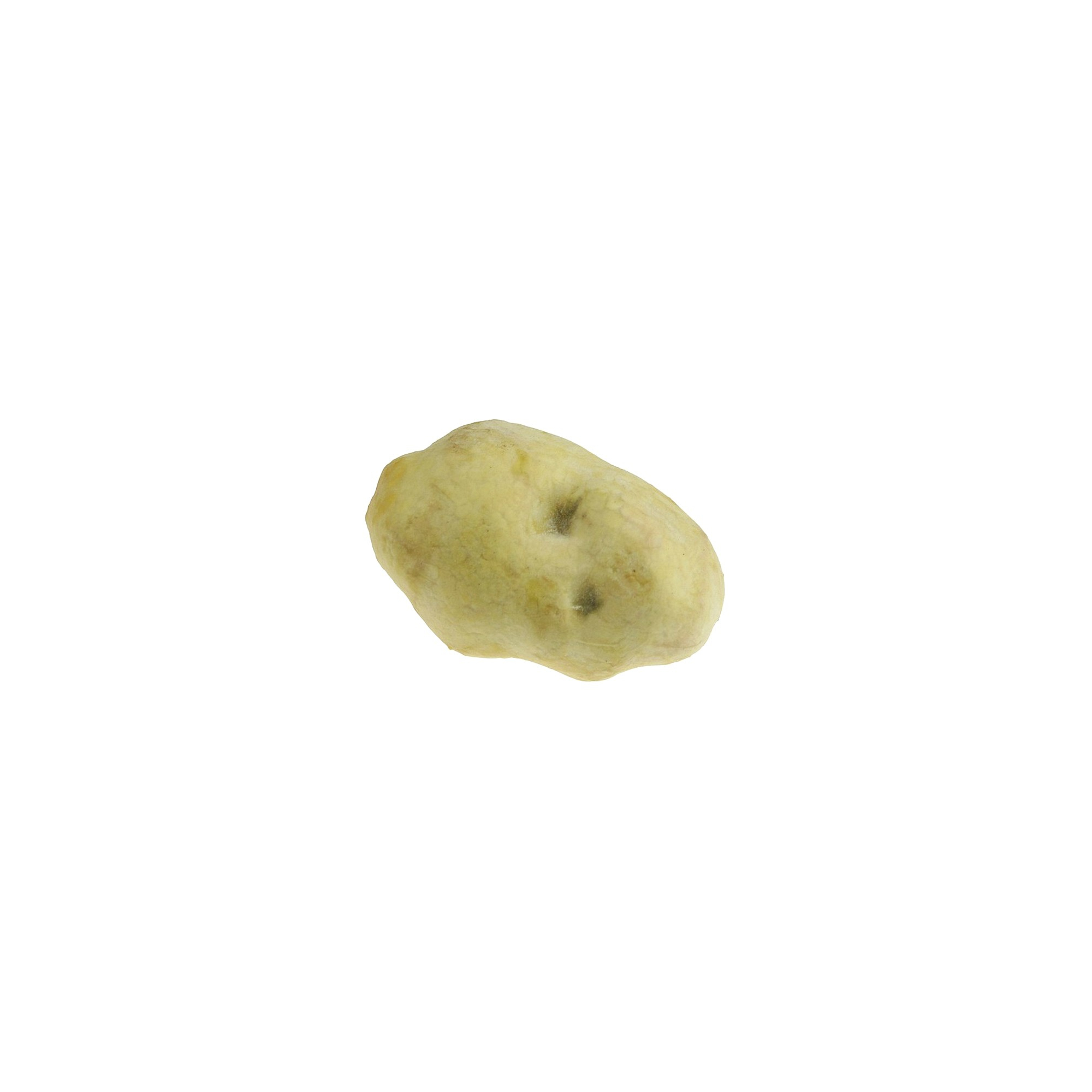 Burgonya 10cm sárga Zmrst