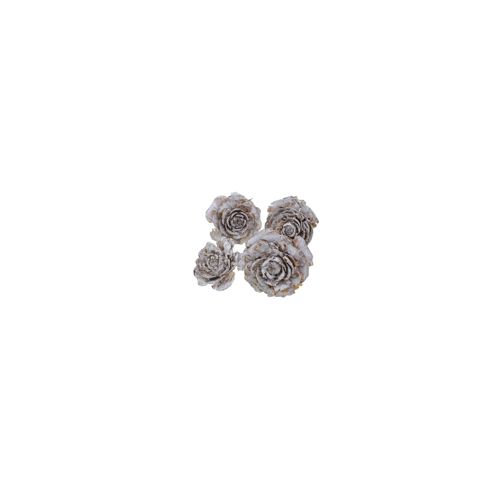 Cédrus rózsa fej 5-7cm zúzmarás (0015 3 202601900)